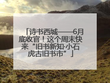 诗书西城——6月底收官！这个周末快来“旧书新知·小石虎古旧书市”