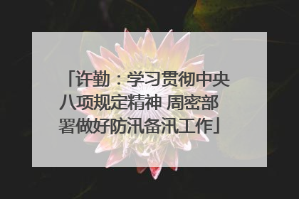 许勤：学习贯彻中央八项规定精神 周密部署做好防汛备汛工作