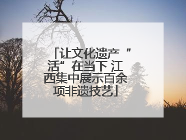 让文化遗产“活”在当下 江西集中展示百余项非遗技艺