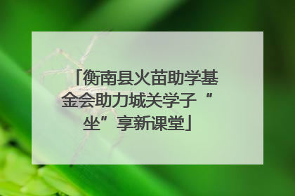 衡南县火苗助学基金会助力城关学子“坐”享新课堂