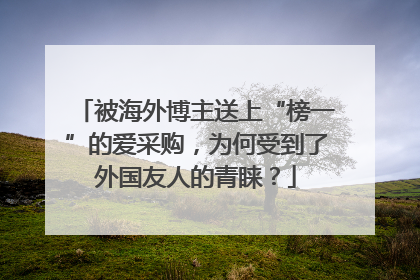 被海外博主送上“榜一”的爱采购，为何受到了外国友人的青睐？