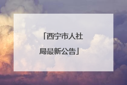 西宁市人社局最新公告