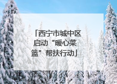 西宁市城中区 启动“暖心菜篮”帮扶行动
