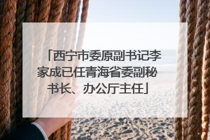 西宁市委原副书记李家成已任青海省委副秘书长、办公厅主任