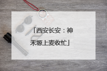 西安长安：神禾塬上麦收忙