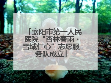襄阳市第一人民医院“杏林春雨・雪域仁心”志愿服务队成立