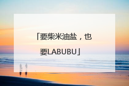 要柴米油盐，也要LABUBU