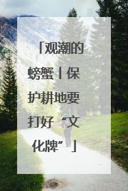 观潮的螃蟹丨保护耕地要打好“文化牌”
