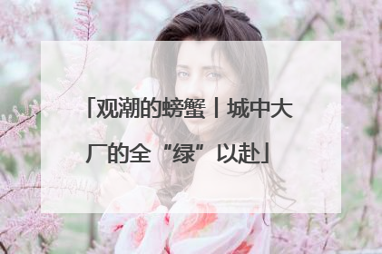 观潮的螃蟹丨城中大厂的全“绿”以赴