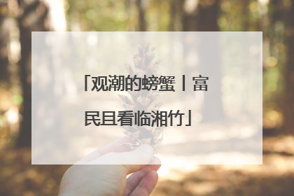观潮的螃蟹丨富民且看临湘竹
