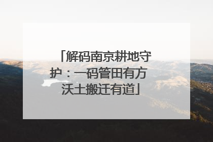 解码南京耕地守护：一码管田有方 沃土搬迁有道