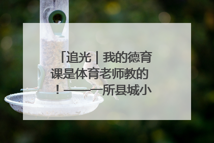 追光｜我的德育课是体育老师教的！——一所县城小学的思政课改革