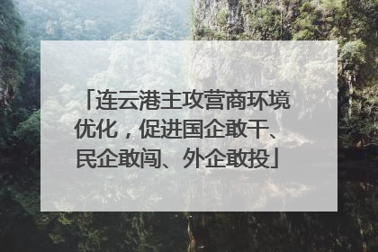 连云港主攻营商环境优化，促进国企敢干、民企敢闯、外企敢投