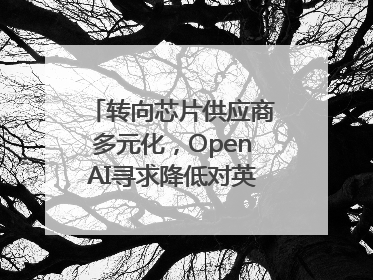 转向芯片供应商多元化，OpenAI寻求降低对英伟达依赖