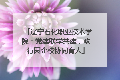 辽宁石化职业技术学院：党建联学共建，政行园企校协同育人