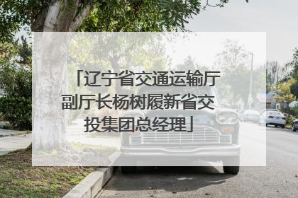 辽宁省交通运输厅副厅长杨树履新省交投集团总经理