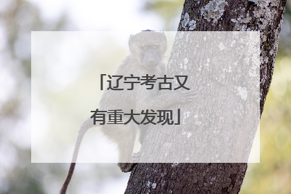 辽宁考古又有重大发现