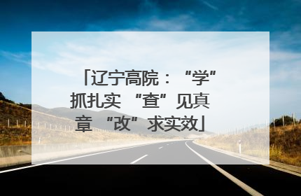 辽宁高院：“学”抓扎实 “查”见真章 “改”求实效