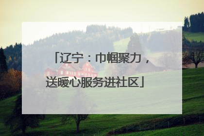 辽宁：巾帼聚力，送暖心服务进社区