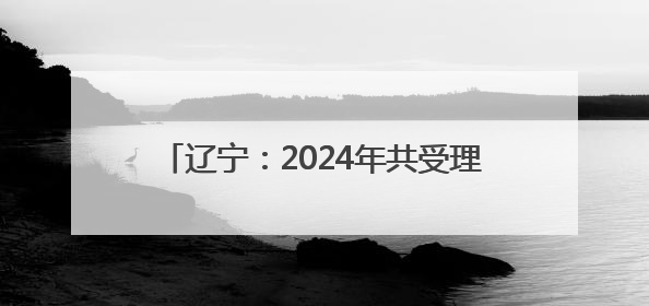 辽宁：2024年共受理专利预审请求7468件 获专利授权4213件