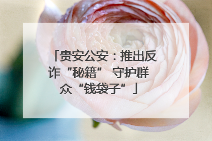 贵安公安：推出反诈“秘籍” 守护群众“钱袋子”