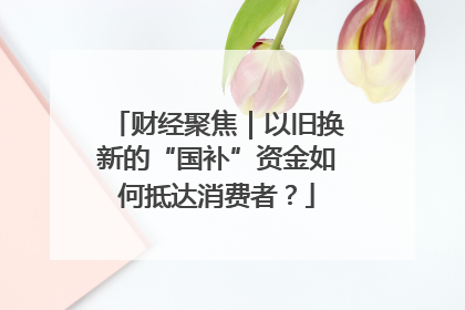 财经聚焦｜以旧换新的“国补”资金如何抵达消费者？