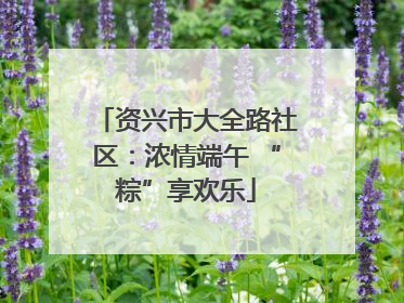 资兴市大全路社区：浓情端午 “粽”享欢乐
