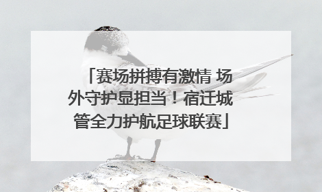 赛场拼搏有激情 场外守护显担当！宿迁城管全力护航足球联赛