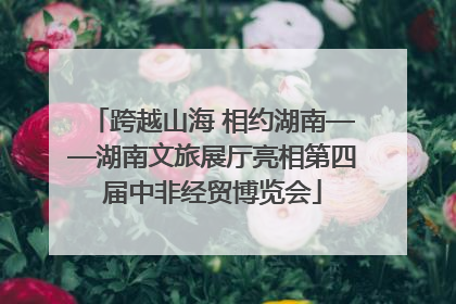 跨越山海 相约湖南——湖南文旅展厅亮相第四届中非经贸博览会