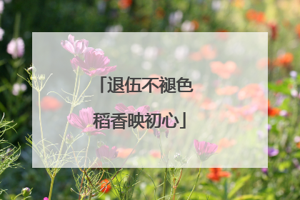 退伍不褪色 稻香映初心