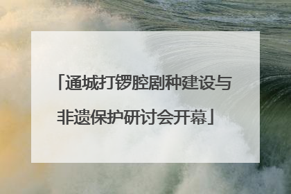 通城打锣腔剧种建设与非遗保护研讨会开幕