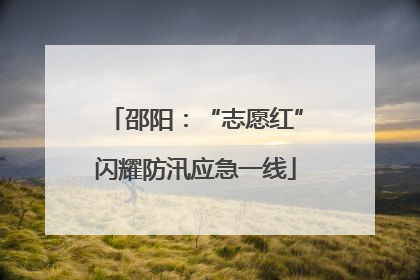 邵阳：“志愿红”闪耀防汛应急一线