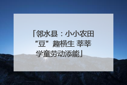 邻水县：小小农田“豆”趣横生 莘莘学童劳动添能