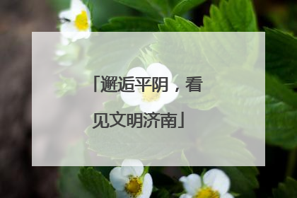 邂逅平阴，看见文明济南