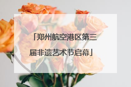 郑州航空港区第三届非遗艺术节启幕