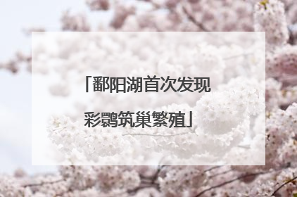 鄱阳湖首次发现彩鹮筑巢繁殖