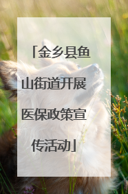 金乡县鱼山街道开展医保政策宣传活动