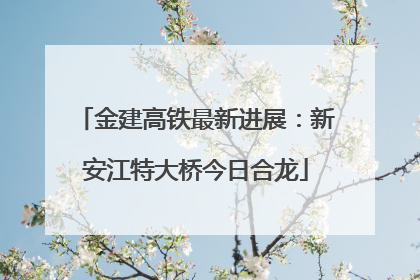 金建高铁最新进展：新安江特大桥今日合龙