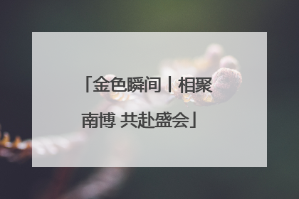 金色瞬间丨相聚南博 共赴盛会