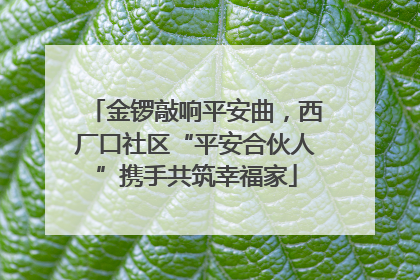 金锣敲响平安曲，西厂口社区“平安合伙人”携手共筑幸福家