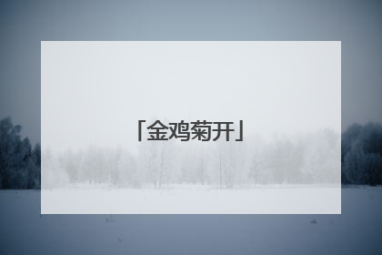 金鸡菊开