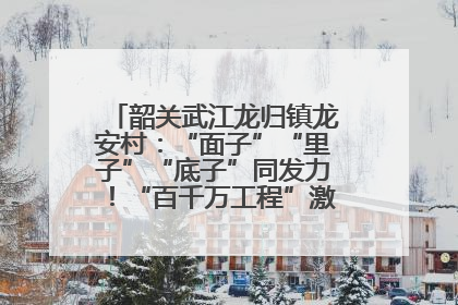 韶关武江龙归镇龙安村：“面子”“里子”“底子”同发力！“百千万工程”激活乡村新动能