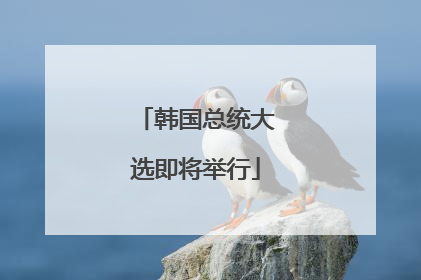 韩国总统大选即将举行