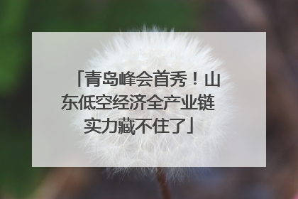 青岛峰会首秀！山东低空经济全产业链实力藏不住了