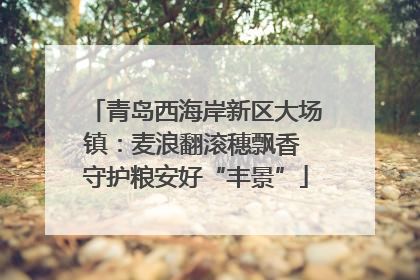 青岛西海岸新区大场镇：麦浪翻滚穗飘香 守护粮安好“丰景”
