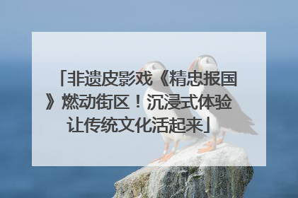 非遗皮影戏《精忠报国》燃动街区！沉浸式体验让传统文化活起来