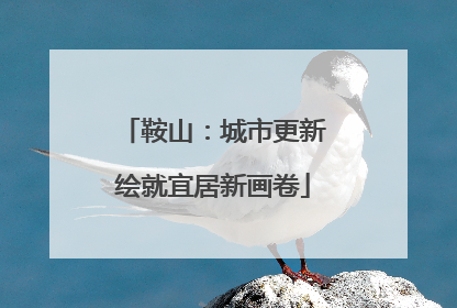 鞍山：城市更新绘就宜居新画卷
