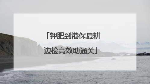 钾肥到港保夏耕 边检高效助通关