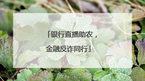银行直播助农，金融反诈同行
