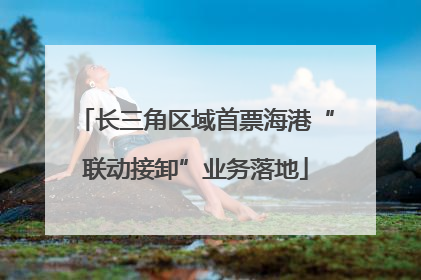 长三角区域首票海港“联动接卸”业务落地
